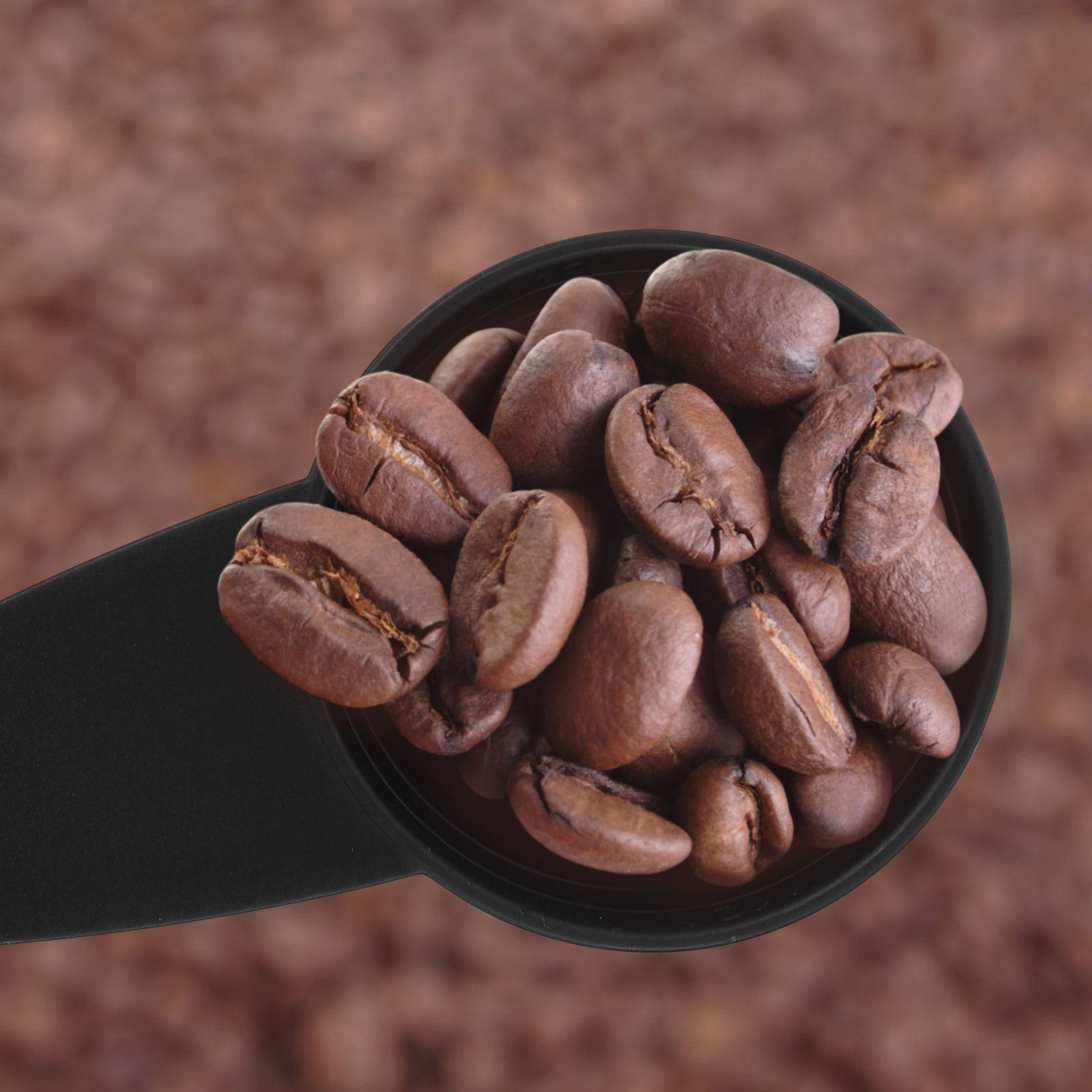 5Pcs Measure Spoon Long Handle - Coffee Tea Sugar review and price